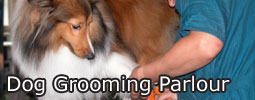 Dog Grooming Parlour