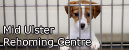 View the Mid Ulster Rehoming Centre