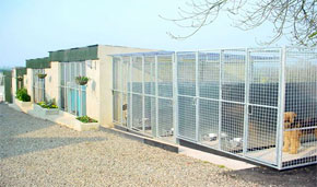 Dog Kennels