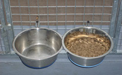 Bowl Holder